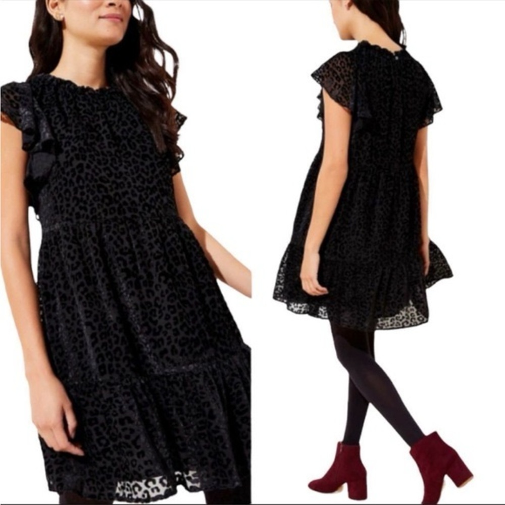 ⭐️ LOFT Velvet Burnout Ruffled Leopard Mini Dress Mobwife size MEDIUM
